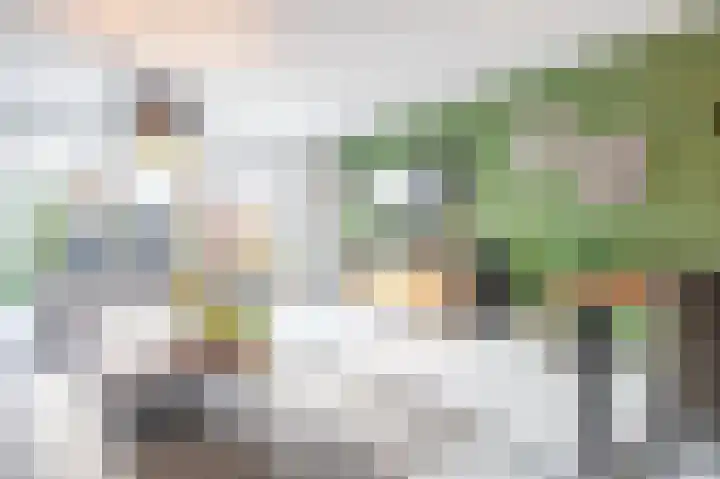 Maarschalklaan 54 Montfoort thumbnail 8