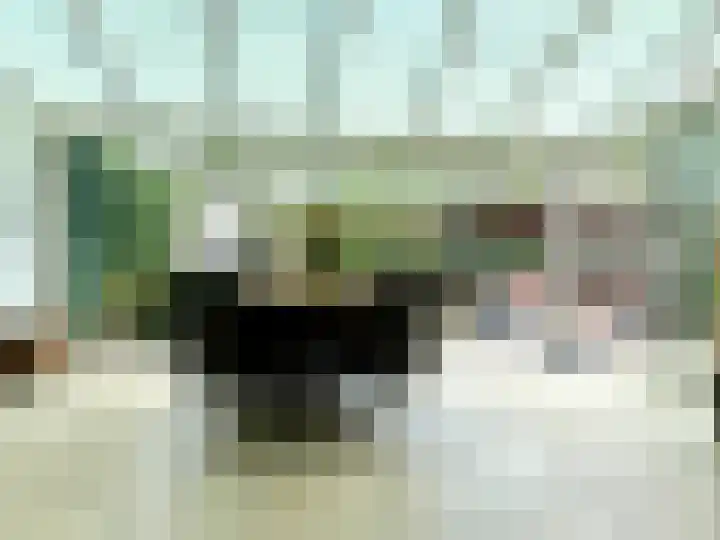 Maarschalklaan 58 Montfoort thumbnail 12