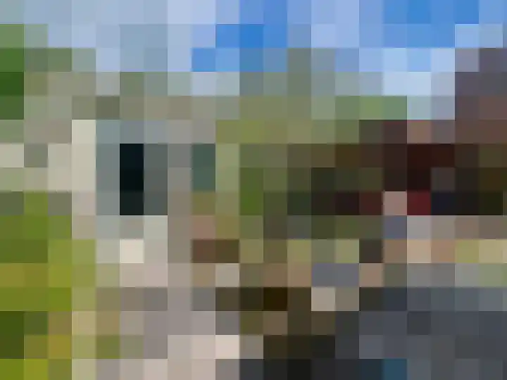 Maarschalklaan 58 Montfoort thumbnail 16