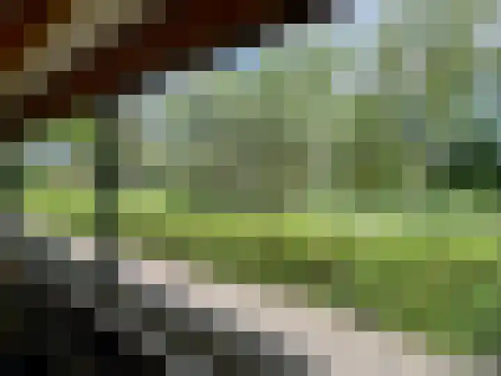 Maarschalklaan 58 Montfoort thumbnail 20