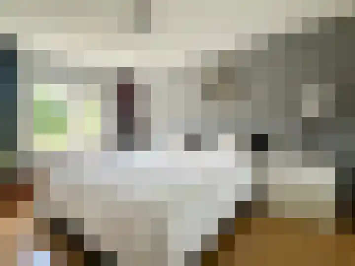 Maarschalklaan 58 Montfoort thumbnail 22