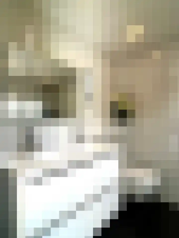 Maarschalklaan 58 Montfoort thumbnail 27