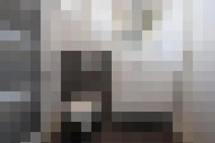 Maarschalklaan 85 Montfoort thumbnail 17