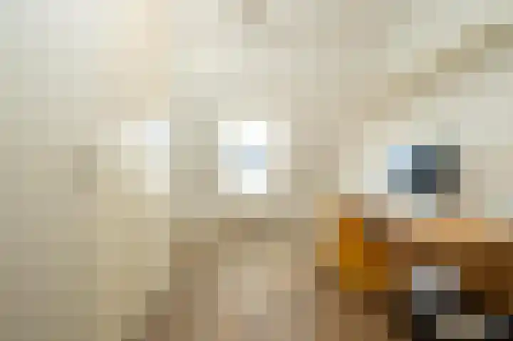 Maarschalklaan 85 Montfoort thumbnail 20