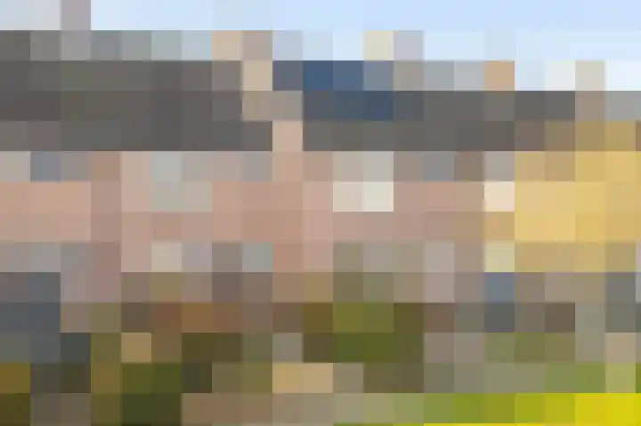 Maarschalklaan 85 Montfoort thumbnail 25