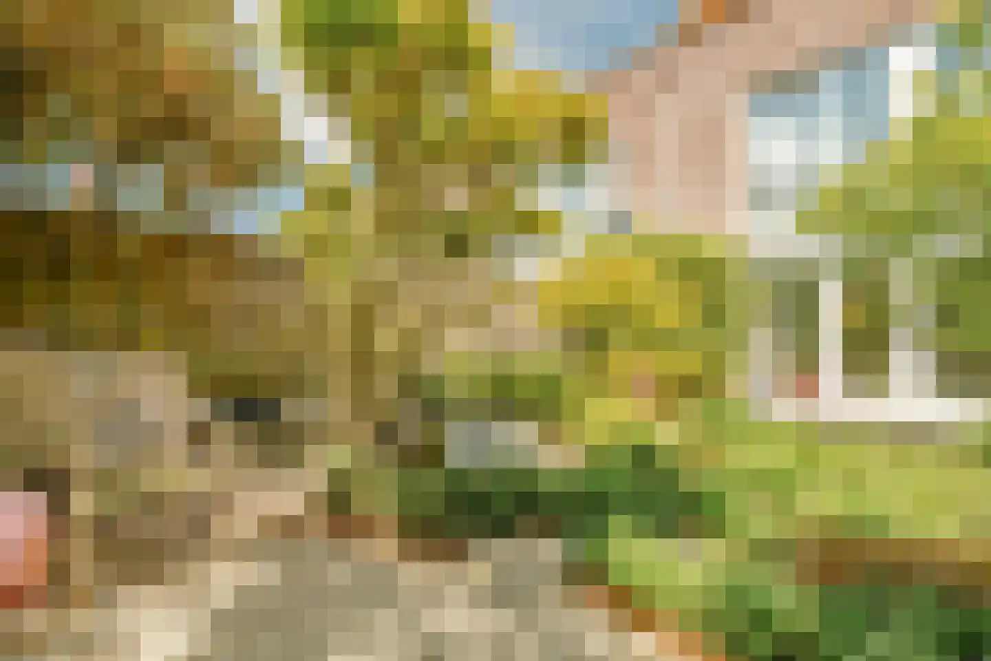 Maarse & Kroon Hof 16 Aalsmeer thumbnail 12