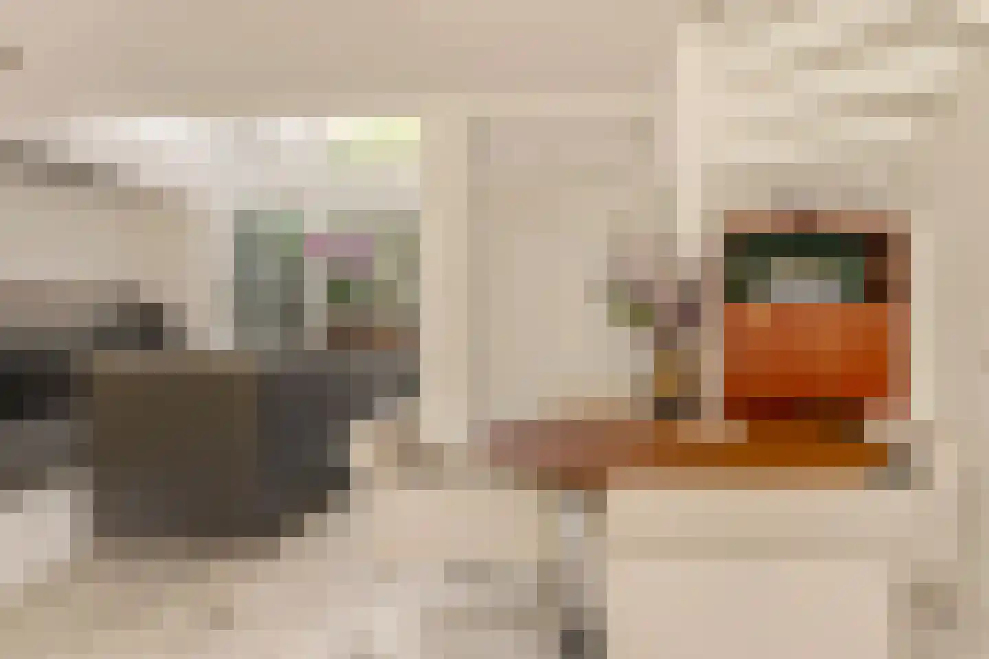 Maarse & Kroon Hof 16 Aalsmeer thumbnail 16