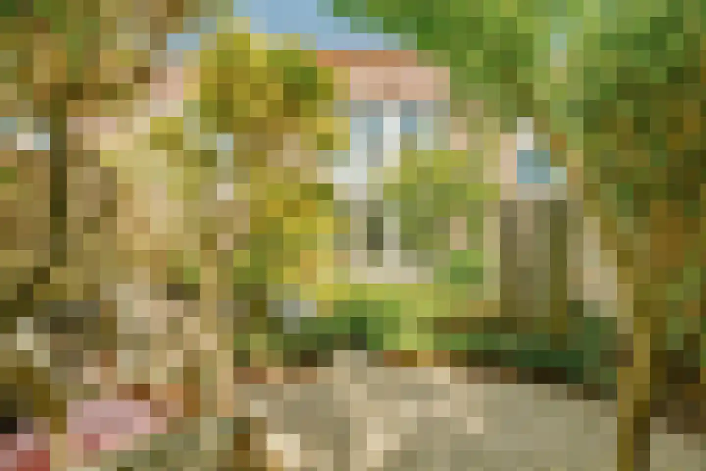 Maarse & Kroon Hof 16 Aalsmeer thumbnail 5