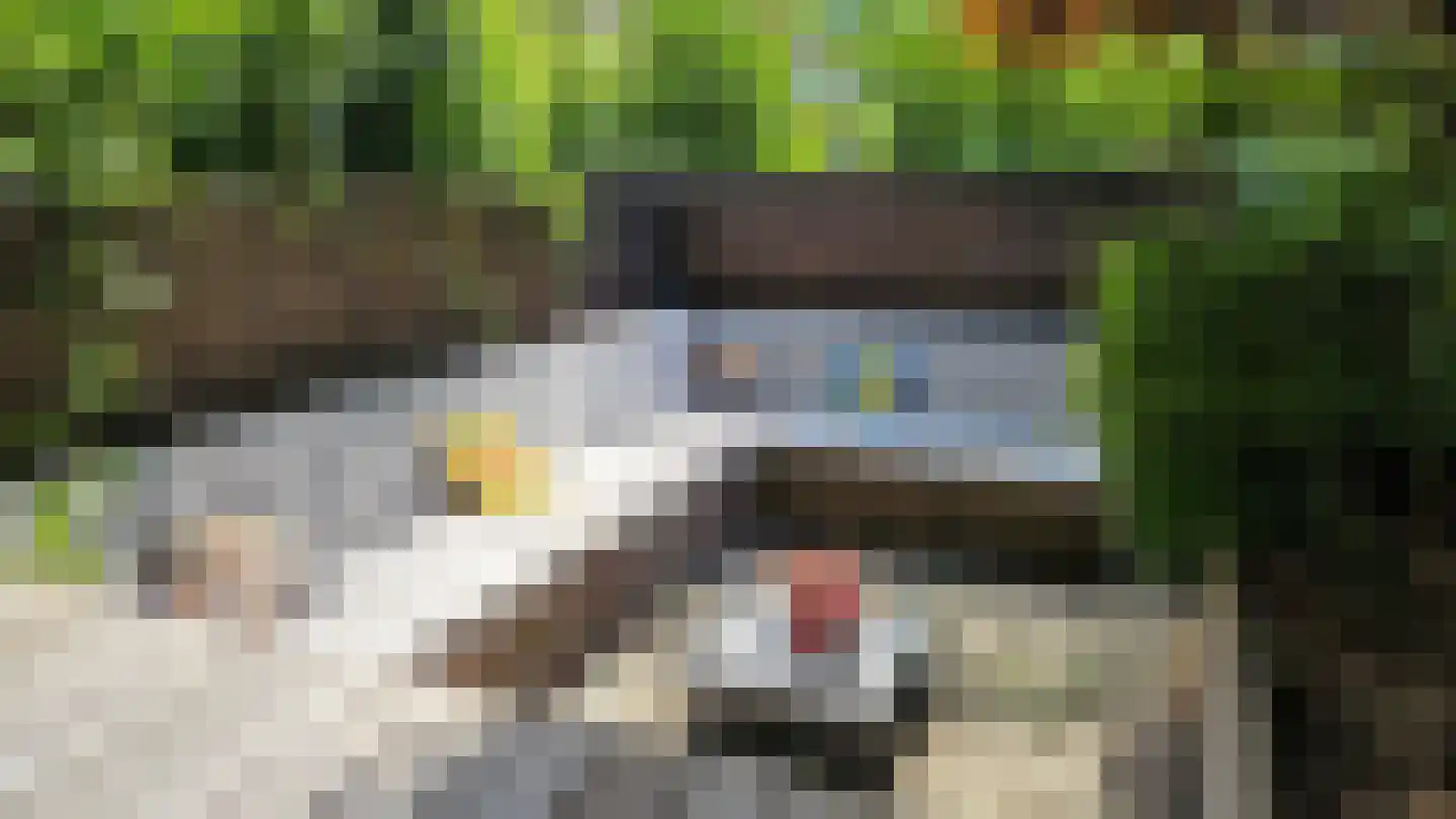 Maarse & Kroon Hof 51 Aalsmeer thumbnail 8
