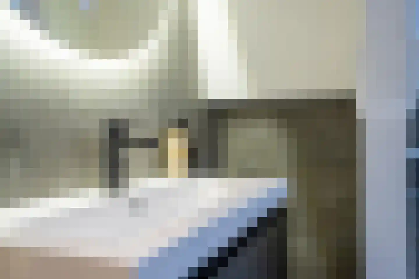 Maarsmansteeg 4 A Leiden thumbnail 24