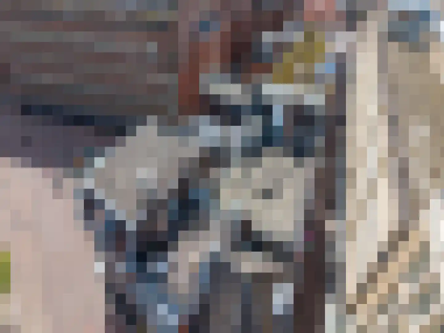 Maarsmansteeg 4 A Leiden thumbnail 31