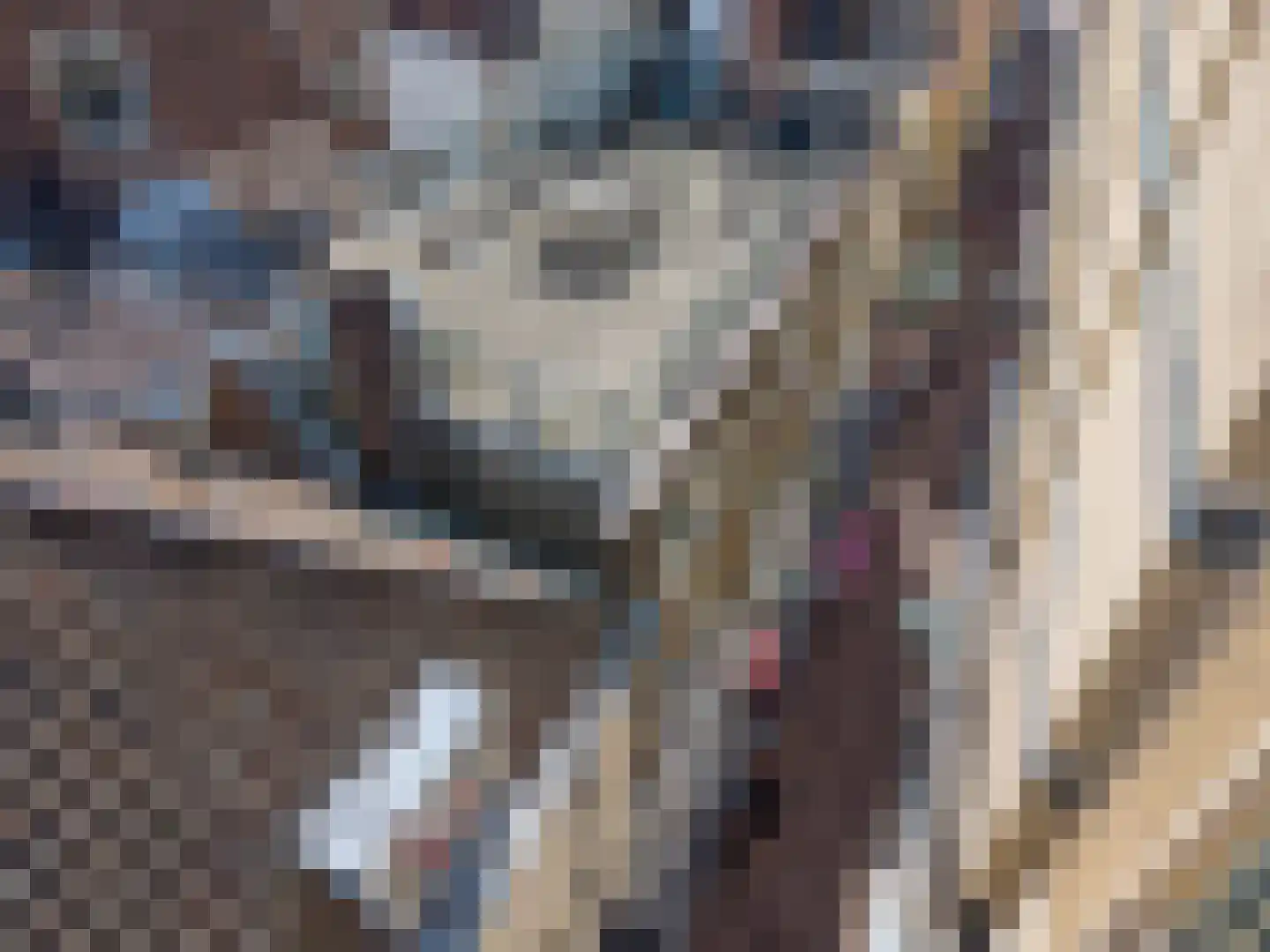 Maarsmansteeg 4 A Leiden thumbnail 32