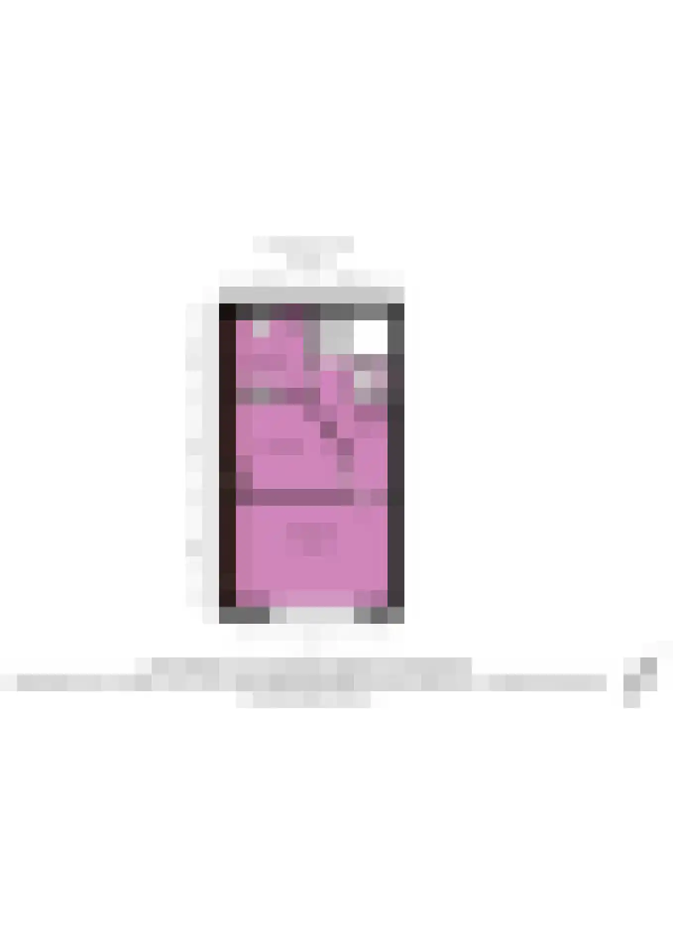 Maarsmansteeg 4 A Leiden thumbnail 42