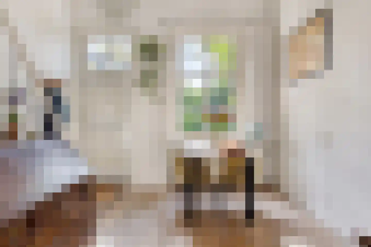 Maarsseveensegrachtje 2 Maarssen thumbnail 11