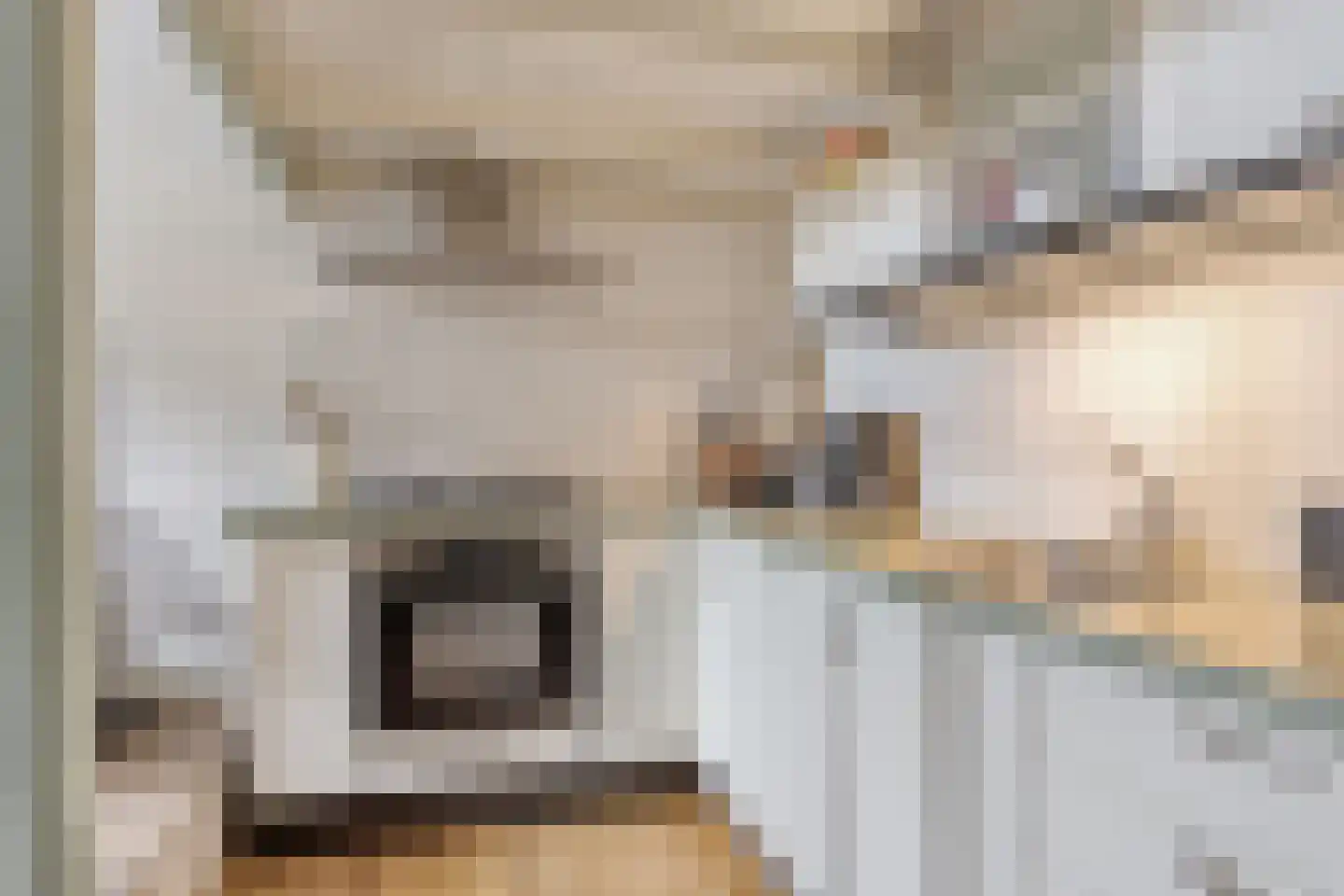 Maarsseveensegrachtje 2 Maarssen thumbnail 15