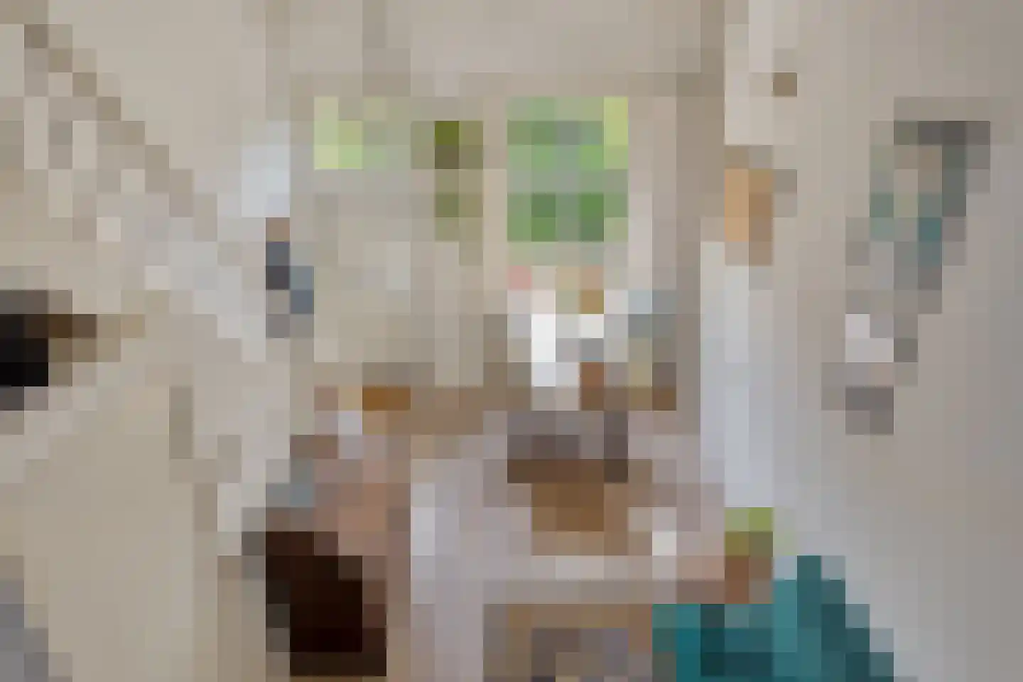 Maarsseveensegrachtje 2 Maarssen thumbnail 18