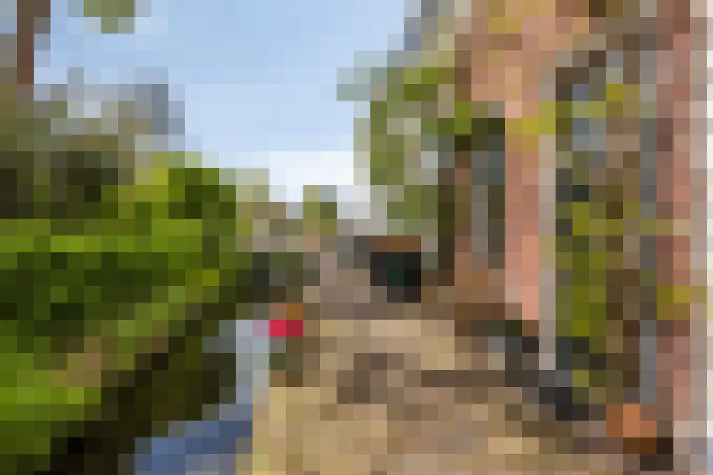 Maarsseveensegrachtje 2 Maarssen foto 2