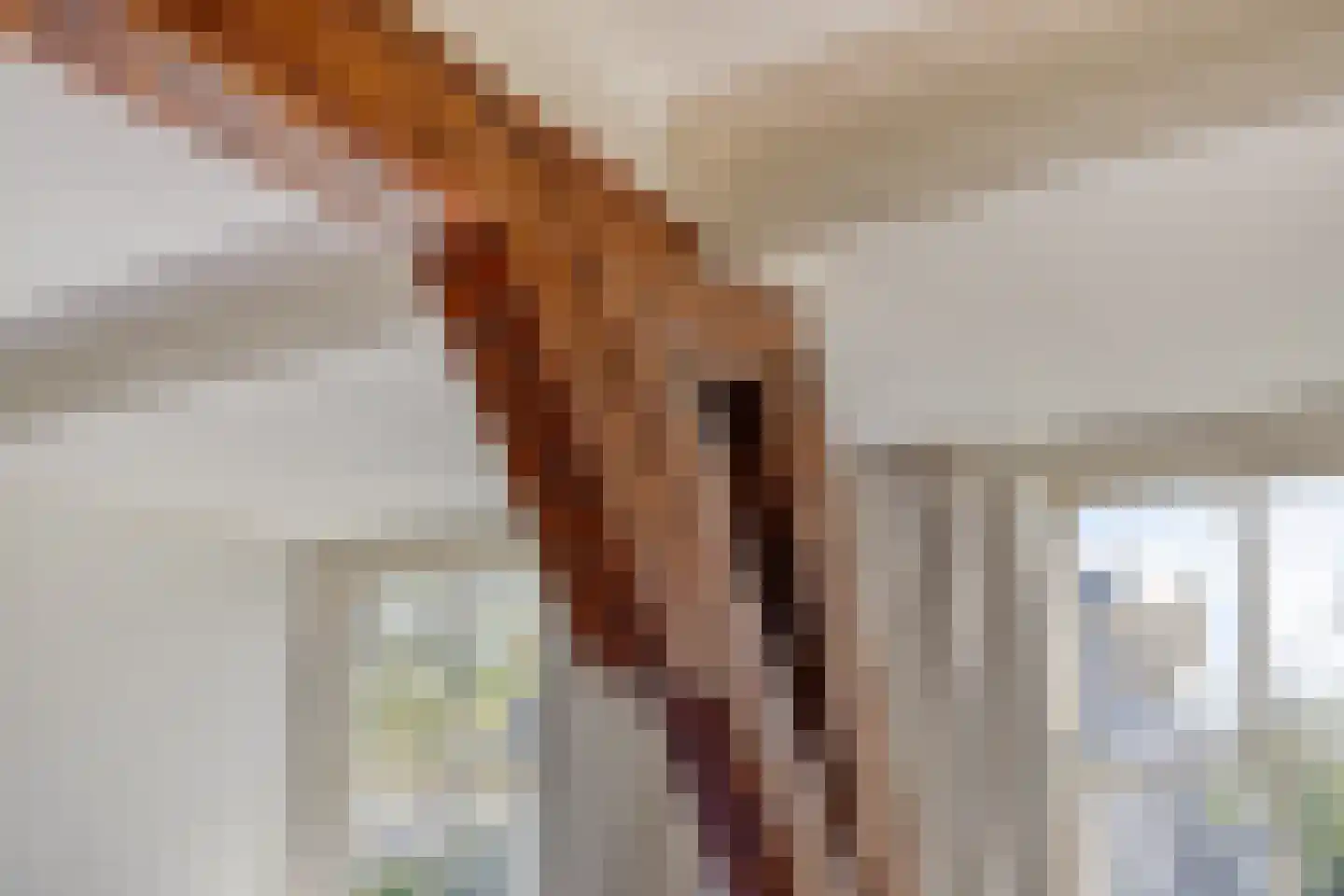 Maarsseveensegrachtje 2 Maarssen thumbnail 22