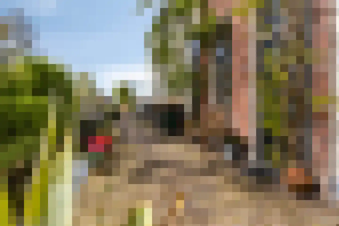 Maarsseveensegrachtje 2 Maarssen thumbnail 33