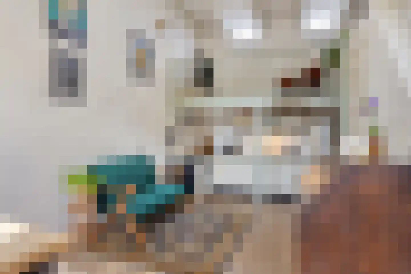 Maarsseveensegrachtje 2 Maarssen thumbnail 4