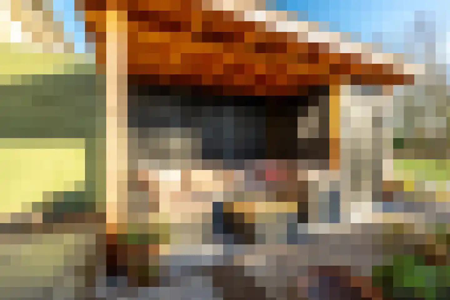 Maarsseveensevaart 126 Tienhoven thumbnail 23