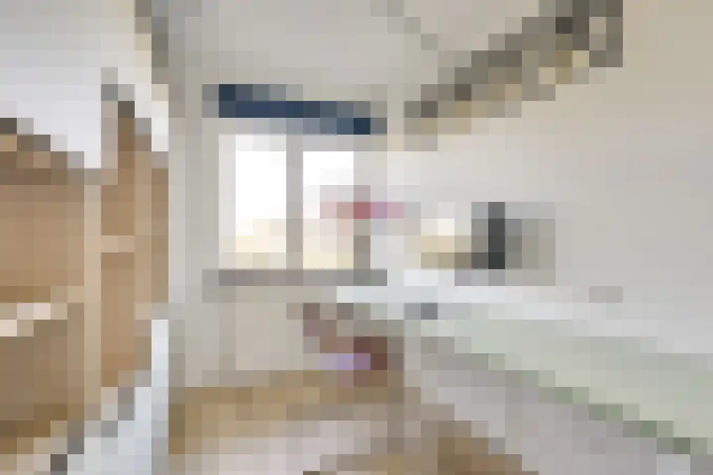 Maarsseveensevaart 126 Tienhoven thumbnail 45
