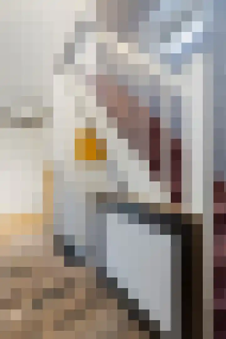 Maarstraat 63 Kerkrade thumbnail 33