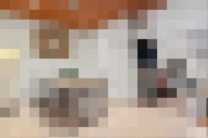 Maarstraat 63 Kerkrade thumbnail 9