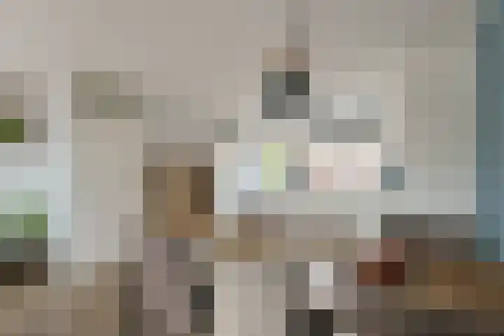 Maarten Bogaardhof 20 Aarlanderveen thumbnail 14