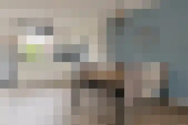 Maarten Bogaardhof 20 Aarlanderveen thumbnail 16