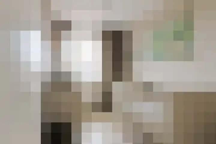 Maarten Bogaardhof 20 Aarlanderveen thumbnail 24