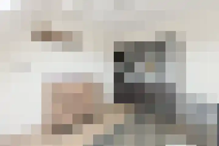 Maarten Bogaardhof 20 Aarlanderveen thumbnail 30