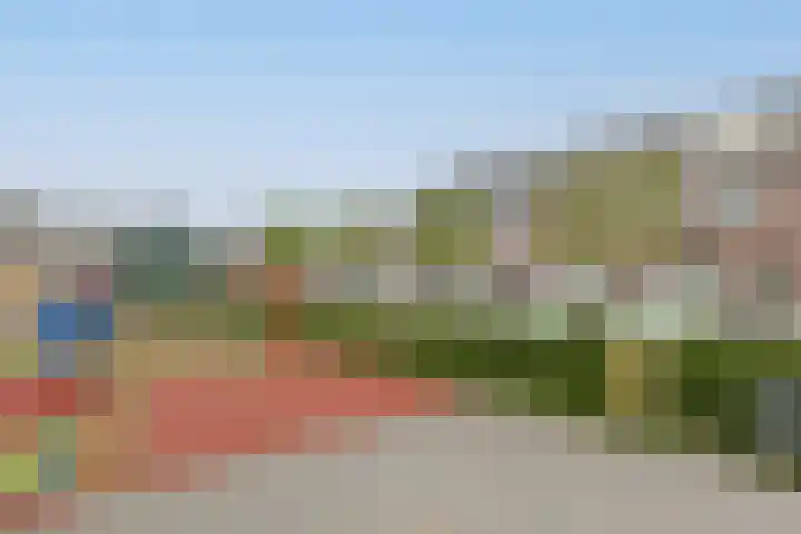 Maarten Bogaardhof 20 Aarlanderveen thumbnail 55