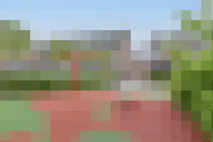 Maarten Bogaardhof 20 Aarlanderveen thumbnail 56