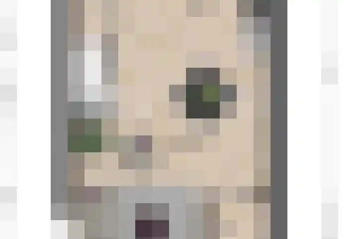 Maarten Bogaardhof 20 Aarlanderveen thumbnail 57