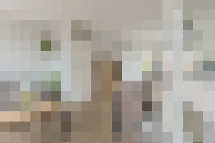 Maarten Bogaardhof 20 Aarlanderveen thumbnail 8