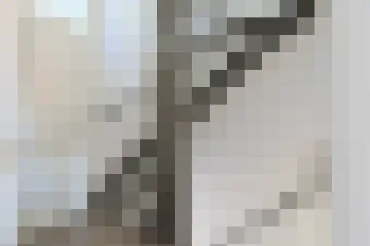 Maarten Bogaardhof 7 Aarlanderveen thumbnail 16
