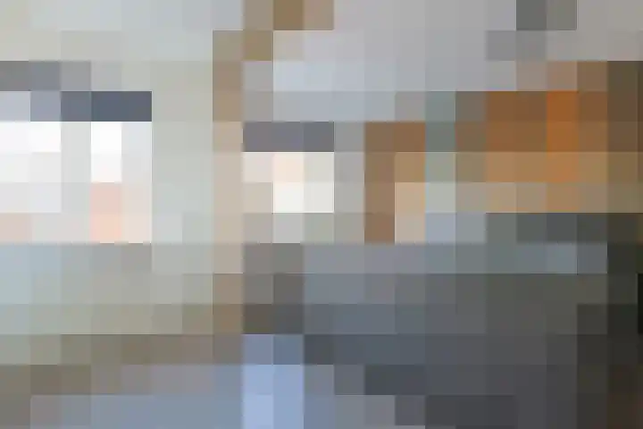 Maarten Bogaardhof 7 Aarlanderveen thumbnail 19