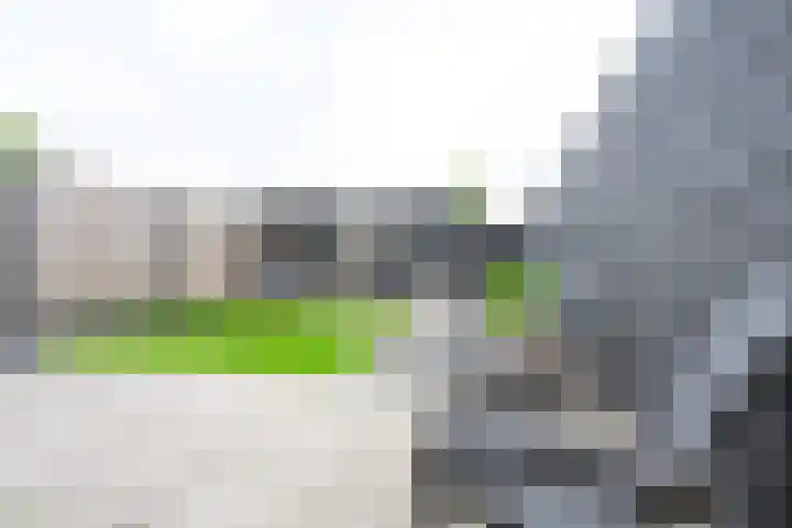 Maarten Breetstraat 8 Sint Maartensbrug thumbnail 14
