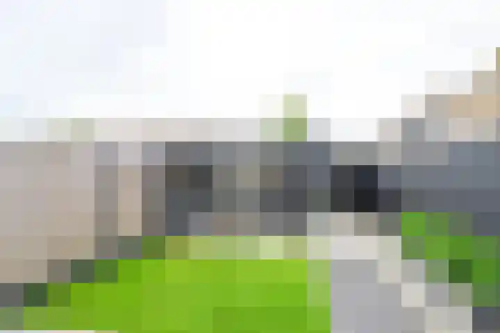 Maarten Breetstraat 8 Sint Maartensbrug thumbnail 15