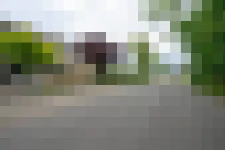 Maarten Breetstraat 8 Sint Maartensbrug thumbnail 35