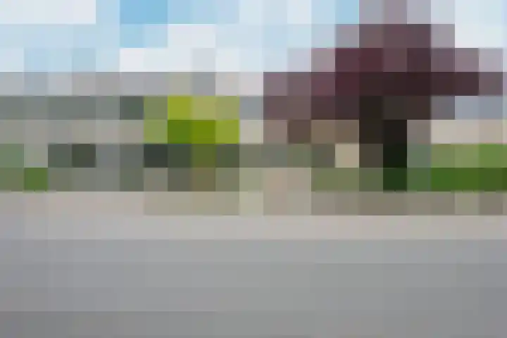 Maarten Breetstraat 8 Sint Maartensbrug thumbnail 36