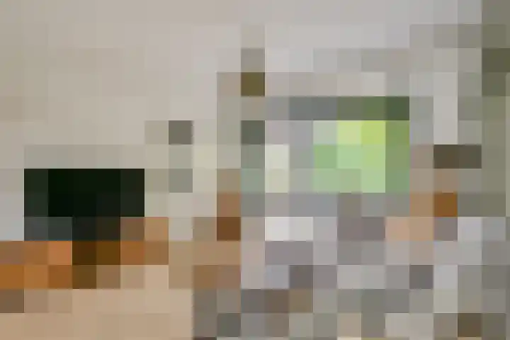 Maarten Breetstraat 8 Sint Maartensbrug thumbnail 6