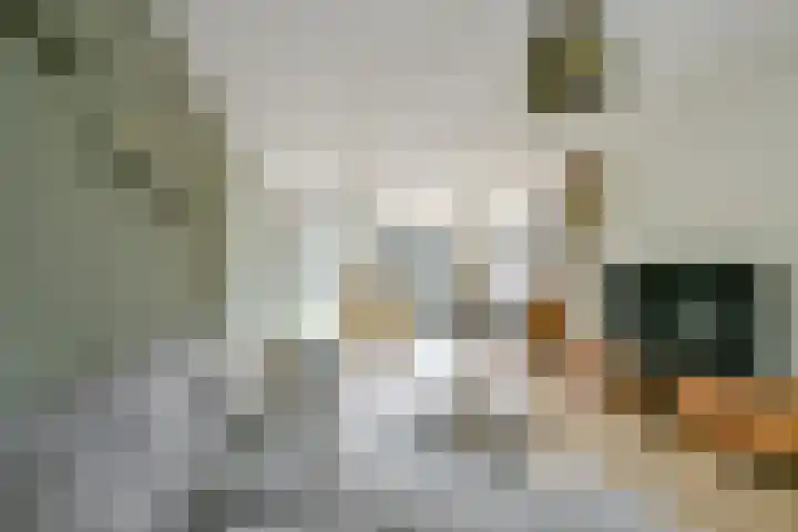 Maarten Breetstraat 8 Sint Maartensbrug thumbnail 7