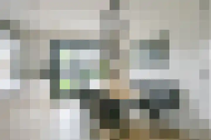 Maarten Breetstraat 8 Sint Maartensbrug thumbnail 9