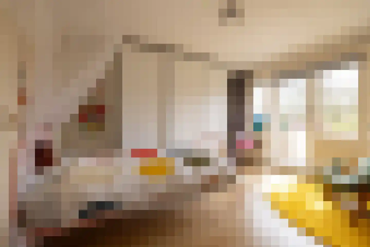 Maarten Dijkshoornlaan 10 Rotterdam thumbnail 16