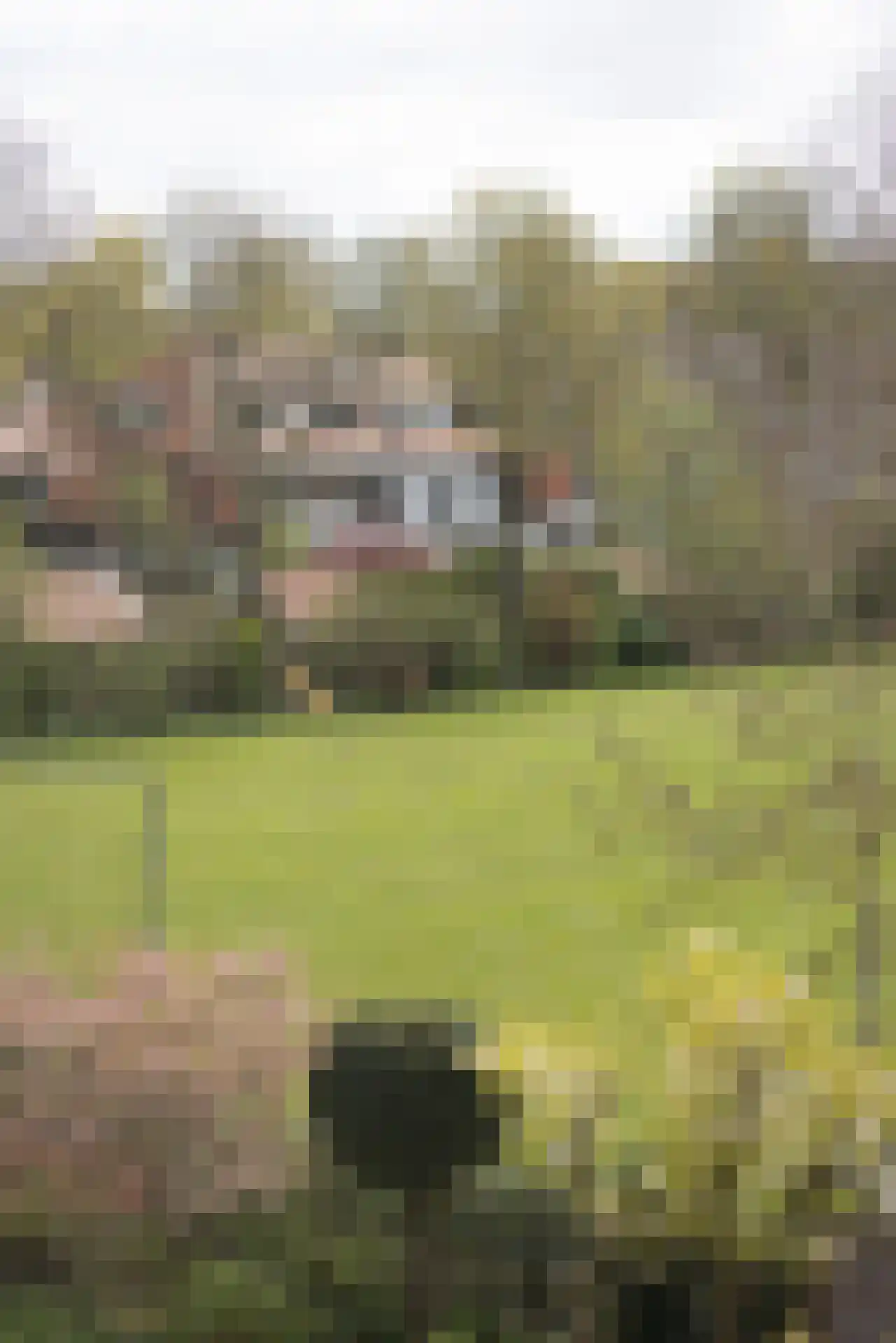 Maarten Dijkshoornlaan 10 Rotterdam thumbnail 19