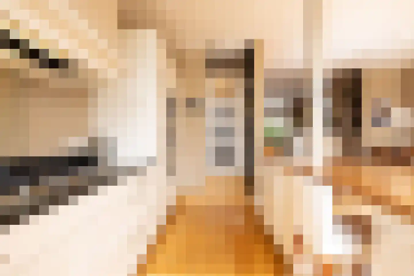 Maarten Dijkshoornlaan 10 Rotterdam thumbnail 8