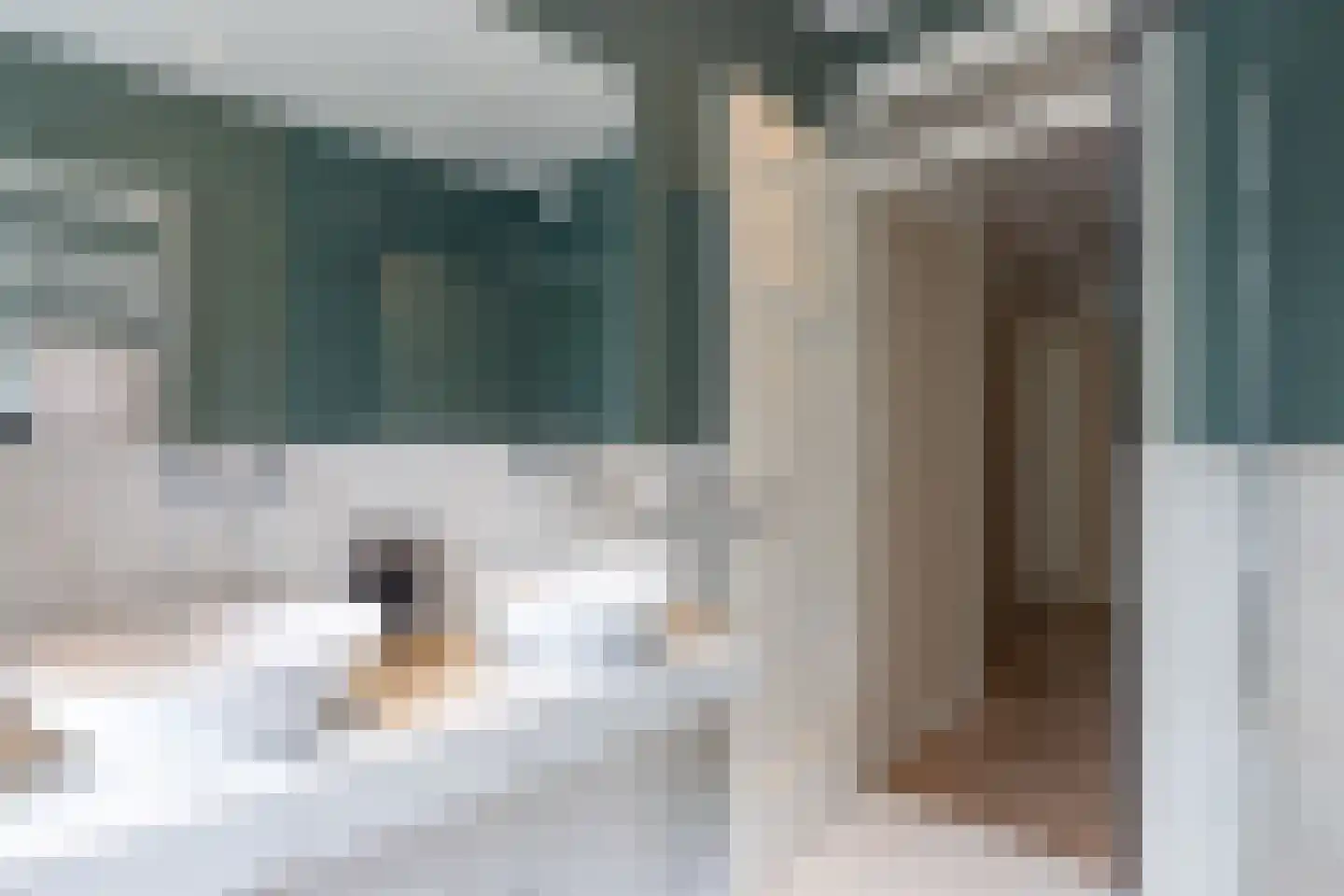 Maarten Dijkshoornlaan 17 Rotterdam thumbnail 32