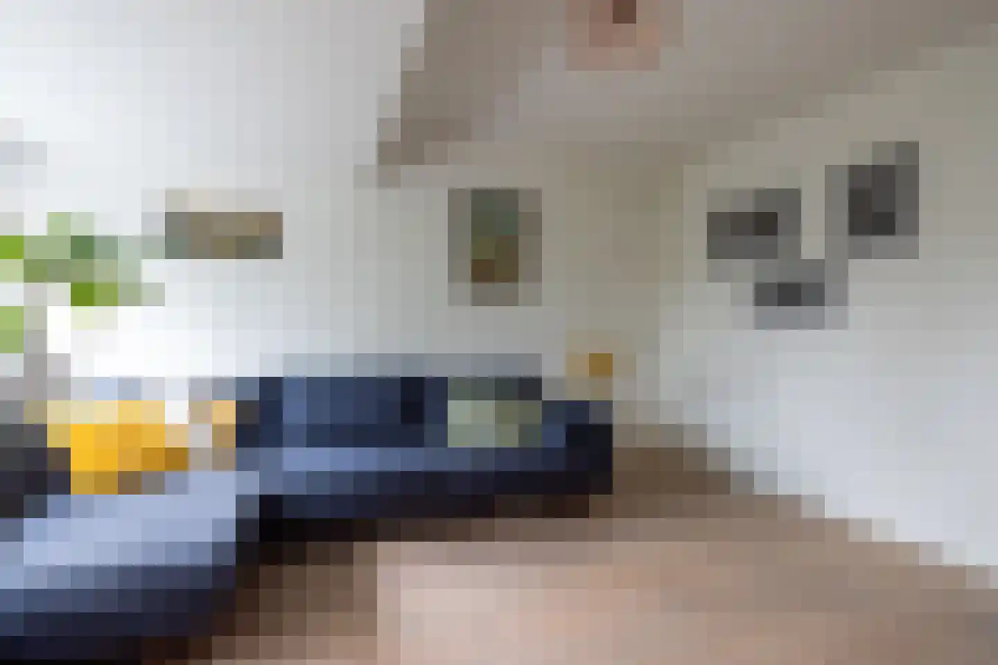 Maarten Dijkshoornlaan 17 Rotterdam thumbnail 49